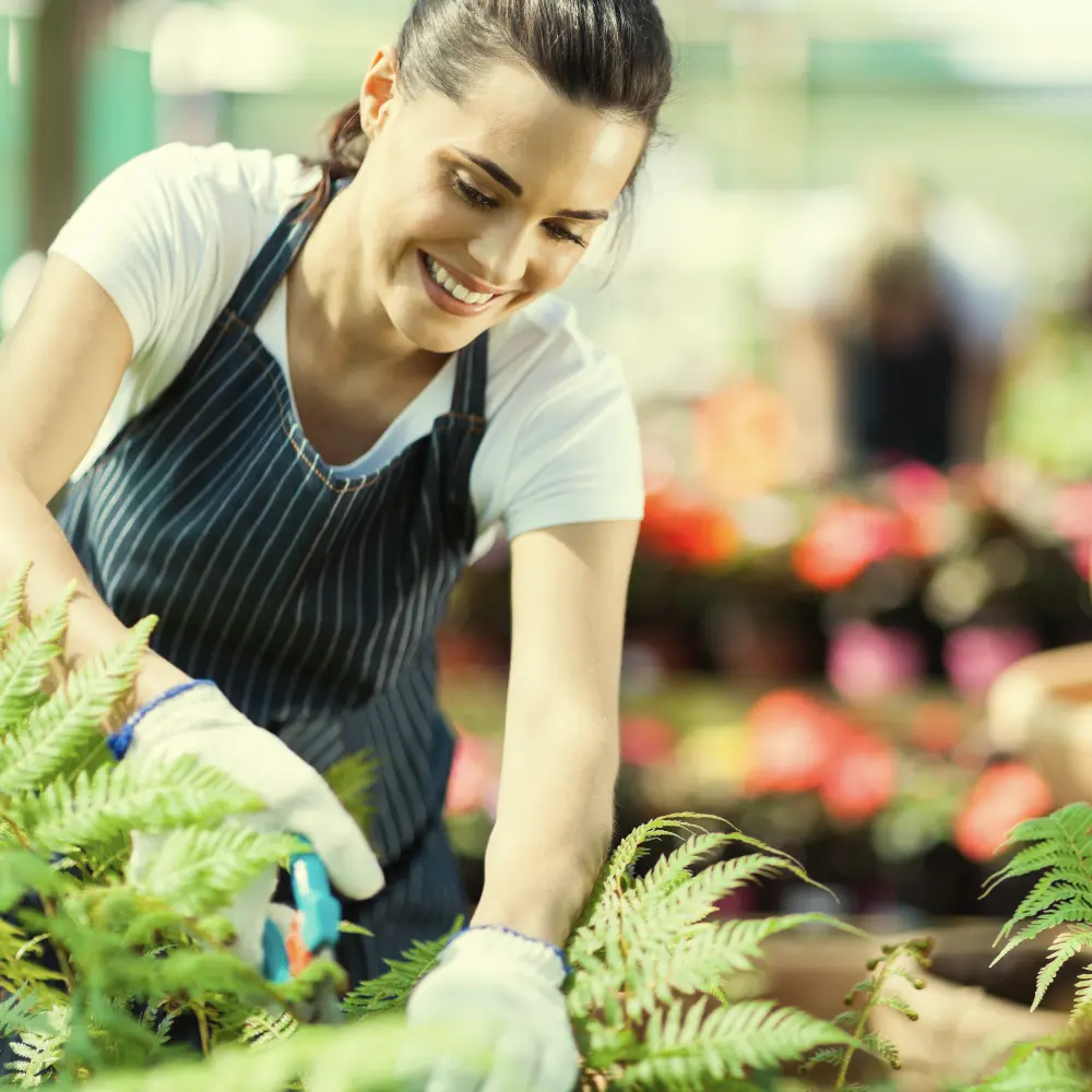 Woman in the garden pruning plant